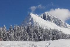 Dachstein-2020-5